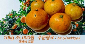 일주일에 평균 5.9회의 투쟁일정을 아름답게 여는 전국장애인차별철폐연대! 이 멋지고 숨가쁜 일정 속에서 재정걱정 없이 잠이라도 푹 잘 수 있도록!! 새콤달콤한 귤 드시고, 감기 예방도 하고, 진보적 장애인운동 후원까지! 일석삼조의 기쁨을 함께 해요 X-D