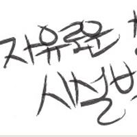http://www.vop.co.kr/A00000616563.html