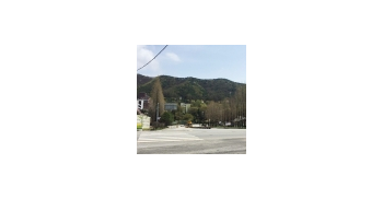 안 과장은 AP통신과의 인터뷰에서 "인권침해 사례 하나하나에 집중하는 것은 정부에 예산 부담을 가져올 것이고, 나쁜 선례를 남기게 된다"면서 "한국전쟁 이후 너무도 많은 사건이 있었기 때문에, 모든 사건마다 특별법을 만들 수는 없다"고 말한 것으로 전해졌다. 