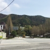 AP통신, 형제복지원