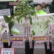 비마이너 : 대선 후보님들, 지역사회에 탈시설 나무 함께 심어요
