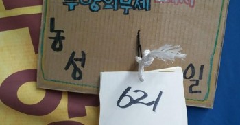 오늘 발바닥에서는 장애등급제폐지와 부양의무제 폐지를 위한 광화문농성장과 인권위앞 고송국현동지의 추모분향소를 지킵니다.