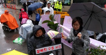 주륵주륵 비오는 나무가 자라기 좋은 날-*