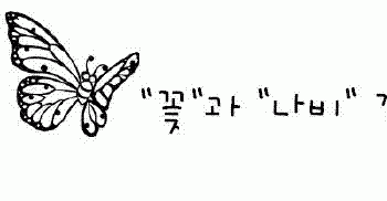 [발바닥이야기] 발바닥의 나비가 되어주세요^^